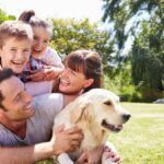 Smart Pet Tracking Devices Best Gadgets to Prevent Your Pets From Getting Lost