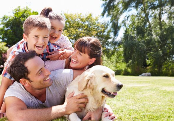 Smart Pet Tracking Devices Best Gadgets to Prevent Your Pets From Getting Lost