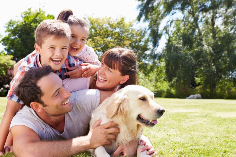 Smart Pet Tracking Devices Best Gadgets to Prevent Your Pets From Getting Lost